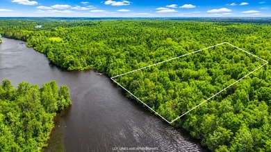 Escape to the beauty of Wisconsin's Northwoods with this - photo 1
