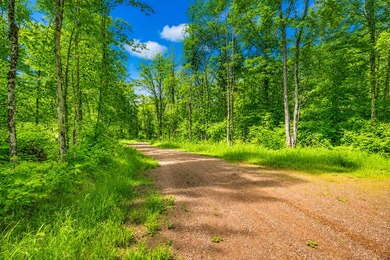 Escape to the beauty of Wisconsin's Northwoods with this - photo 4