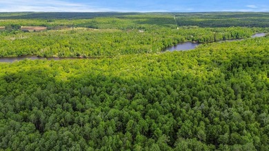 Escape to the beauty of Wisconsin's Northwoods with this - photo 7