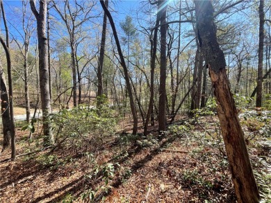Mountain Rest Lake Lot Active Under Contract in Mountain Rest South Carolina