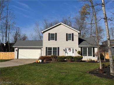 Lake Home For Sale in Roaming Shores, Ohio