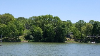 Buildable Lakefront Lot - Lake Lot For Sale in Dahinda, Illinois