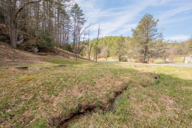 Lake Lot For Sale in Independence, Virginia