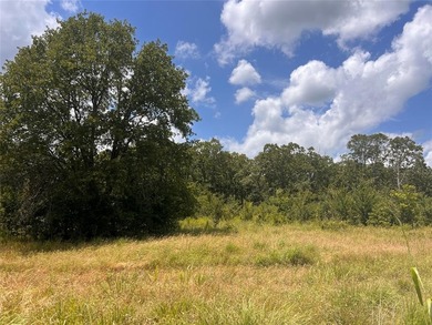 (private lake, pond, creek) Acreage For Sale in Weleetka Oklahoma