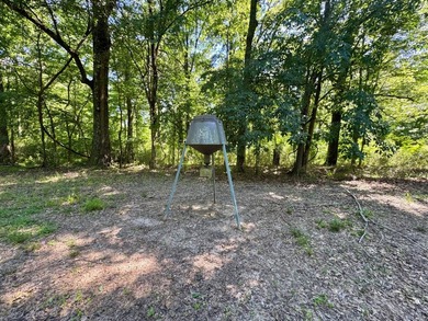*Secluseval Plantation* a 4,000+/- sq. ft. antebellum home built - photo 11