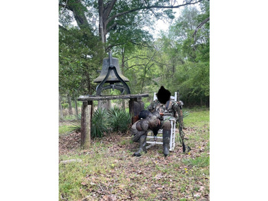 *Secluseval Plantation* a 4,000+/- sq. ft. antebellum home built - photo 12