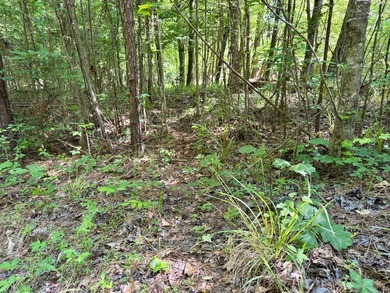 *Secluseval Plantation* a 4,000+/- sq. ft. antebellum home built - photo 15