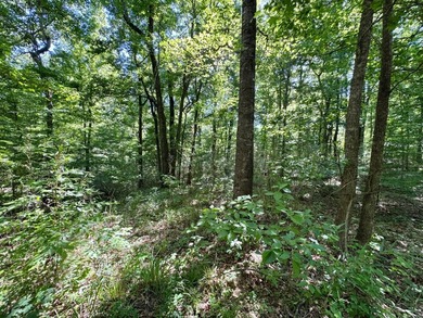 *Secluseval Plantation* a 4,000+/- sq. ft. antebellum home built - photo 16