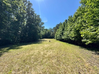 *Secluseval Plantation* a 4,000+/- sq. ft. antebellum home built - photo 17