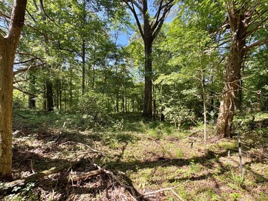 *Secluseval Plantation* a 4,000+/- sq. ft. antebellum home built - photo 19