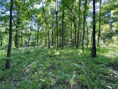 *Secluseval Plantation* a 4,000+/- sq. ft. antebellum home built - photo 23