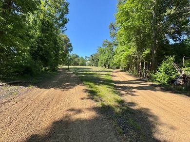 *Secluseval Plantation* a 4,000+/- sq. ft. antebellum home built - photo 25