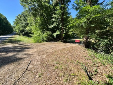 *Secluseval Plantation* a 4,000+/- sq. ft. antebellum home built - photo 26