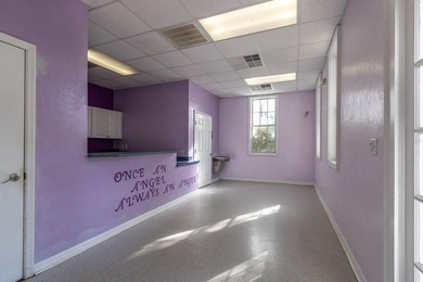 Unique investment opportunity to own 3 parcels in the highly - photo 29
