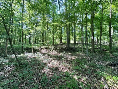 *Secluseval Plantation* a 4,000+/- sq. ft. antebellum home built - photo 33