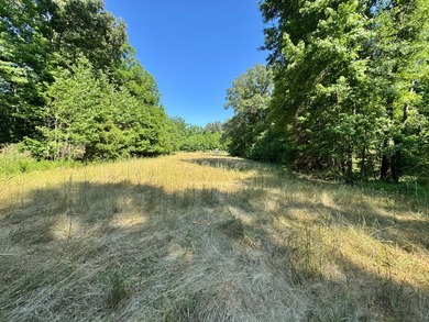 *Secluseval Plantation* a 4,000+/- sq. ft. antebellum home built - photo 34