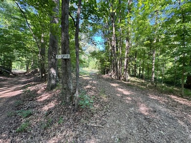 *Secluseval Plantation* a 4,000+/- sq. ft. antebellum home built - photo 35