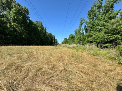 *Secluseval Plantation* a 4,000+/- sq. ft. antebellum home built - photo 37
