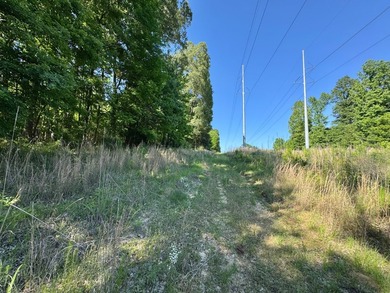 *Secluseval Plantation* a 4,000+/- sq. ft. antebellum home built - photo 38