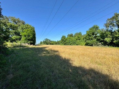 *Secluseval Plantation* a 4,000+/- sq. ft. antebellum home built - photo 39