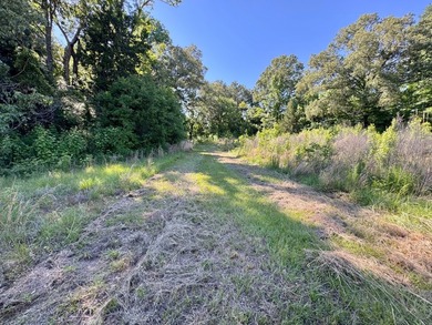 *Secluseval Plantation* a 4,000+/- sq. ft. antebellum home built - photo 40