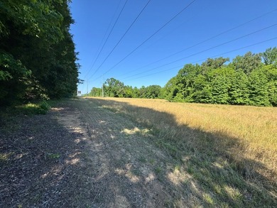 *Secluseval Plantation* a 4,000+/- sq. ft. antebellum home built - photo 41