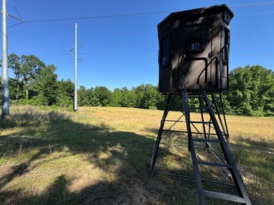 *Secluseval Plantation* a 4,000+/- sq. ft. antebellum home built - photo 43