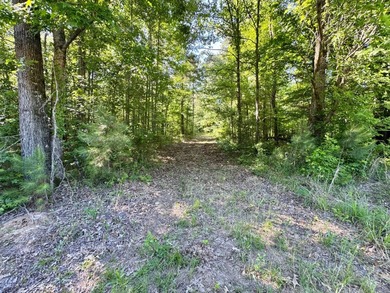 *Secluseval Plantation* a 4,000+/- sq. ft. antebellum home built - photo 45