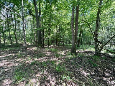 *Secluseval Plantation* a 4,000+/- sq. ft. antebellum home built - photo 46