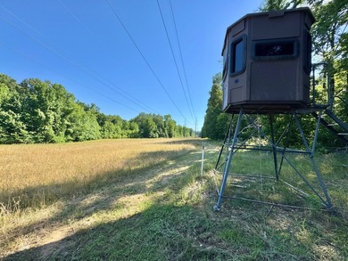 *Secluseval Plantation* a 4,000+/- sq. ft. antebellum home built - photo 48