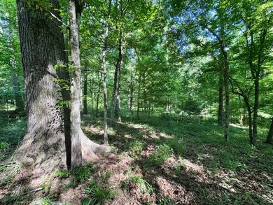 *Secluseval Plantation* a 4,000+/- sq. ft. antebellum home built - photo 50