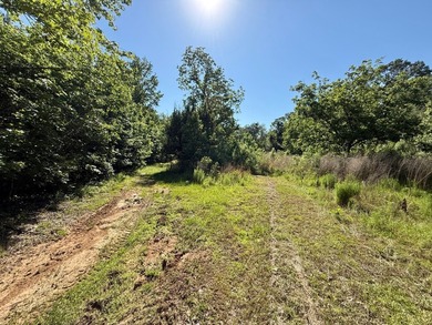 *Secluseval Plantation* a 4,000+/- sq. ft. antebellum home built - photo 58