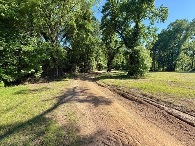 *Secluseval Plantation* a 4,000+/- sq. ft. antebellum home built - photo 60