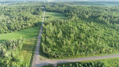 Horseshoe Lake - Polk County Acreage For Sale in Turtle Lake Wisconsin