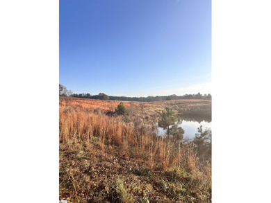 Lot 1 (refer to Aerial for additional parcels) Enjoy peaceful - photo 10