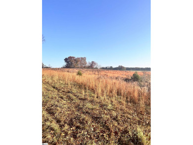 Lot 3 (refer to Aerial for additional parcels) Enjoy peaceful - photo 9