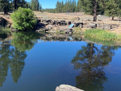 (private lake, pond, creek) Acreage For Sale in Bonanza Oregon