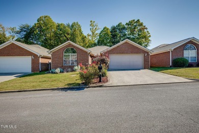 Holston River - Hawkins County Condo For Sale in Church Hill Tennessee