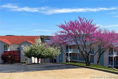 Million Dollar View for a fraction of the price. This 1185-sf - photo 19