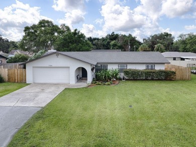 Lake Home Sale Pending in Lake Panasoffkee, Florida