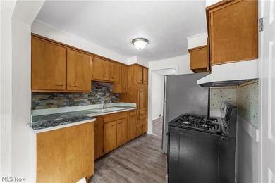 Welcome to 170 E 220th St, Euclid - A Charming Colonial in a - photo 9