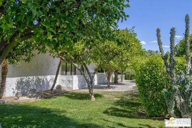 Experience Mid-Century Modern Living in Canyon Estates! This - photo 32