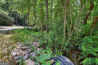 Exceptional opportunity to have 6+ acres in the Lake Burton area - photo 11