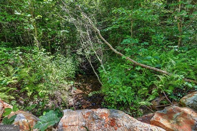 Exceptional opportunity to have 6+ acres in the Lake Burton area - photo 13
