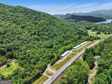 Exceptional opportunity to have 6+ acres in the Lake Burton area - photo 15