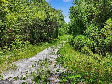 Exceptional opportunity to have 6+ acres in the Lake Burton area - photo 20