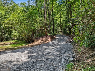 Exceptional opportunity to have 6+ acres in the Lake Burton area - photo 21