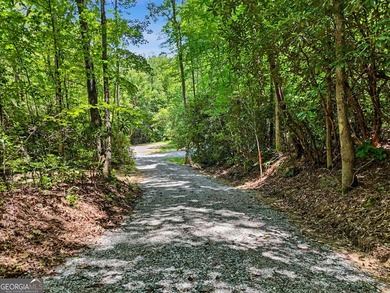 Exceptional opportunity to have 6+ acres in the Lake Burton area - photo 22