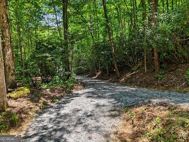 Exceptional opportunity to have 6+ acres in the Lake Burton area - photo 23