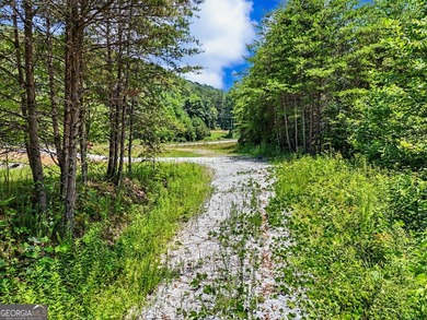 Exceptional opportunity to have 6+ acres in the Lake Burton area - photo 24